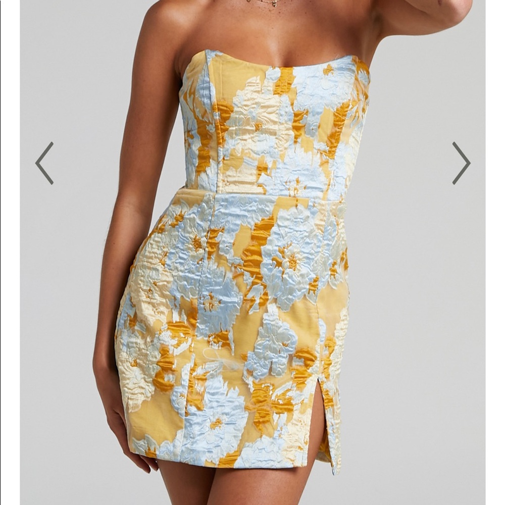 showpo mini dress